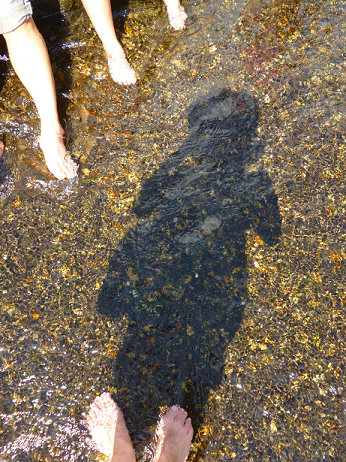 f0008510_1224898.png