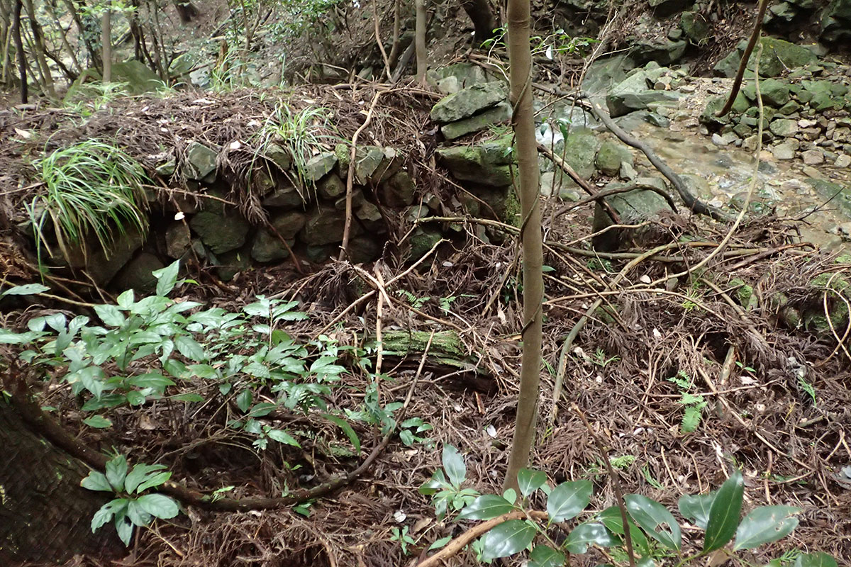c0064025_13411214.jpg