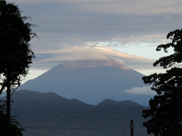 b0000829_721363.jpg