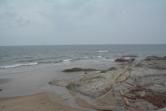 f0124830_1262074.jpg