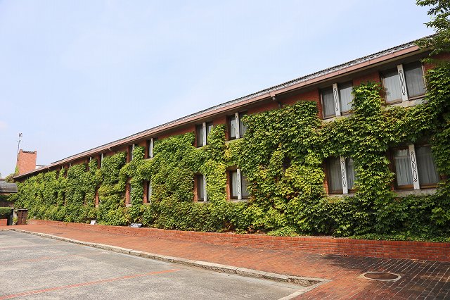 a0242438_1959146.jpg