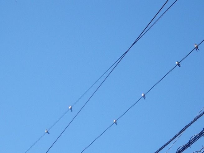 a0054240_2021225.jpg