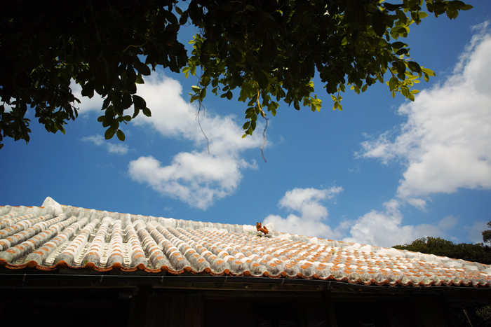 b0049152_19432775.jpg