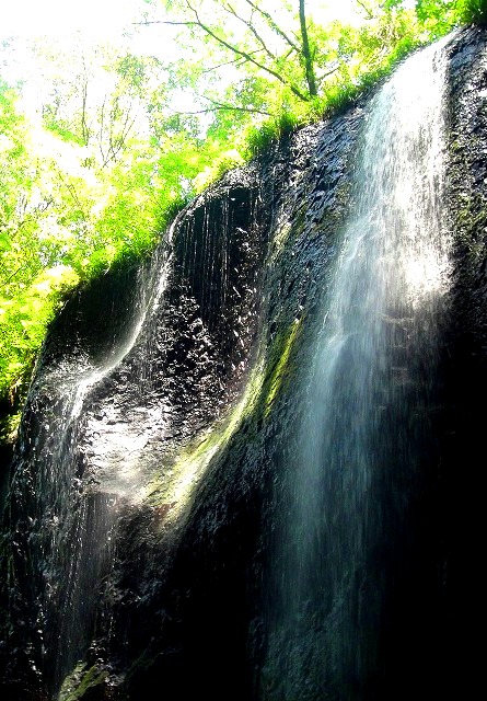 c0119160_22103037.jpg