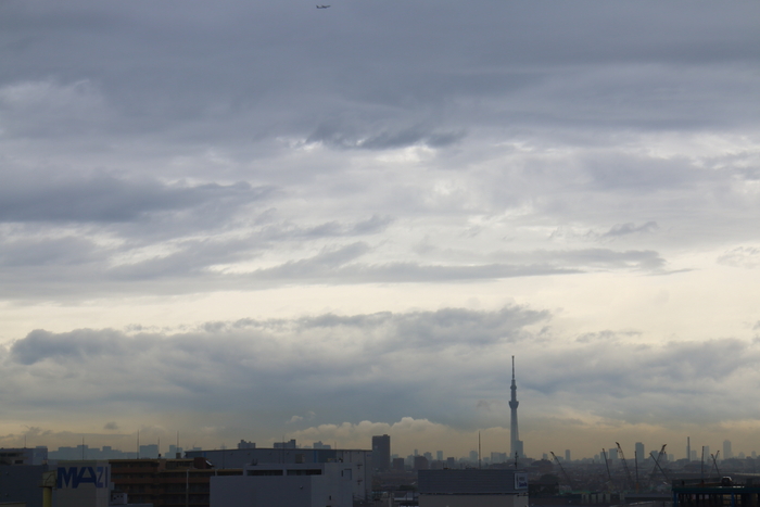 d0152261_13213495.jpg