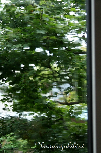 d0337265_16321440.jpg