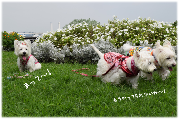 b0242873_01390830.png