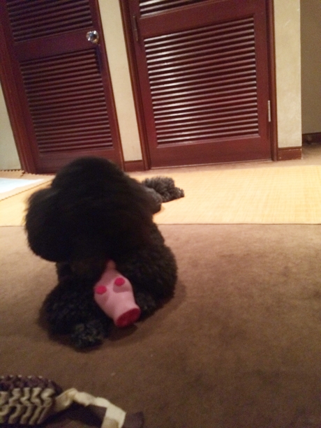 c0283778_1592225.jpg