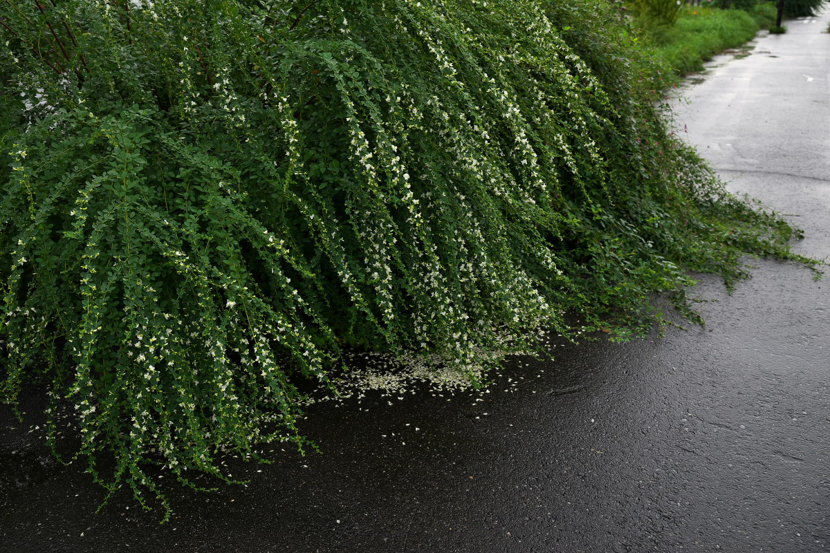 a0083081_22231879.jpg