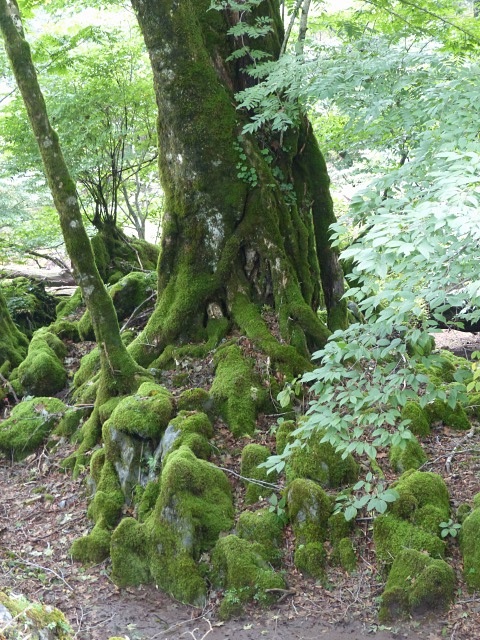 f0357487_23494616.jpg