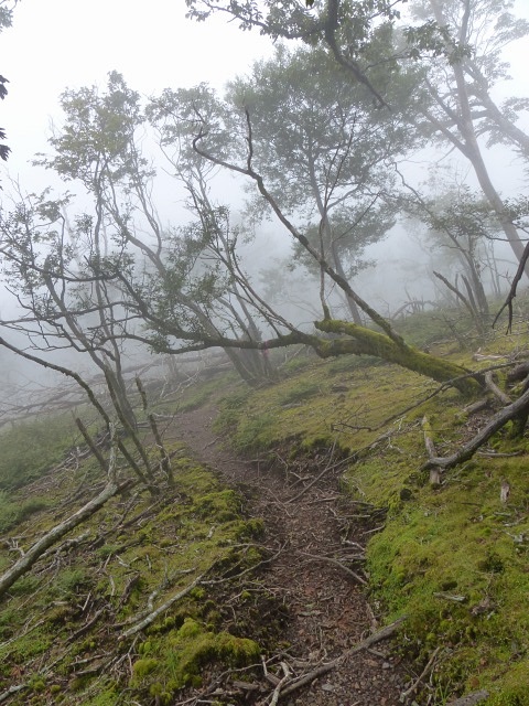 f0357487_23583945.jpg