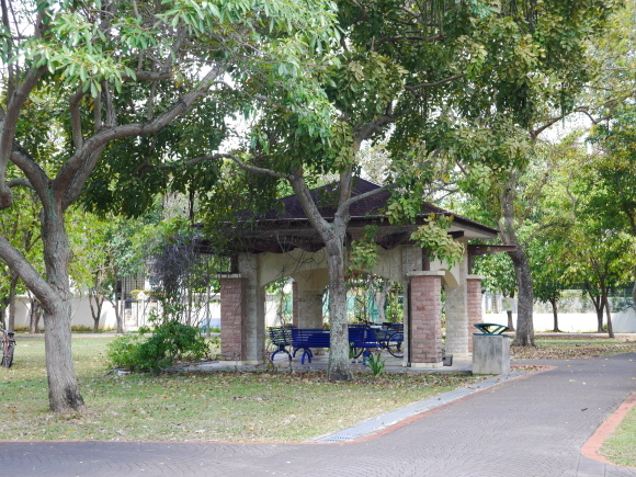 f0343001_22463949.jpg