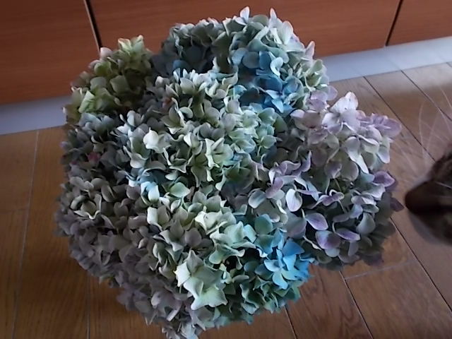 f0316507_15054984.jpg