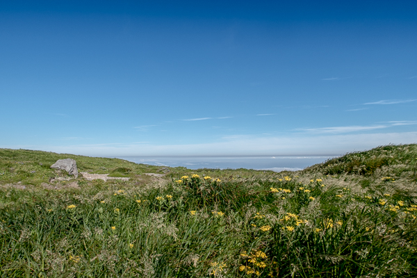 b0244811_21164882.jpg