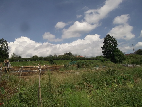 b0137932_16552352.jpg