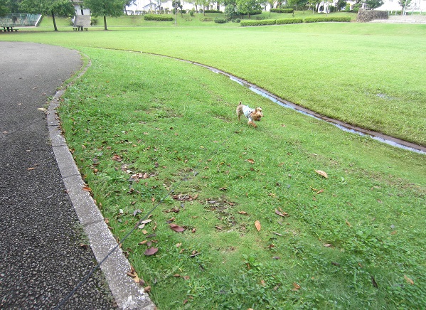f0002833_22255037.jpg