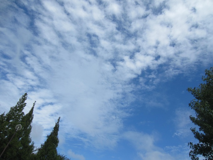 f0002833_22565847.jpg
