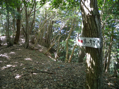 e0272335_16385074.jpg