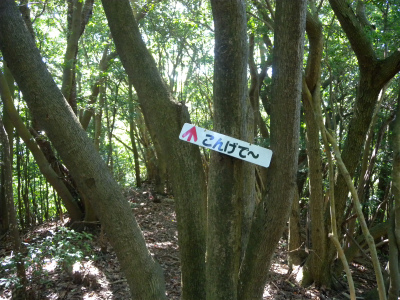 e0272335_16425349.jpg