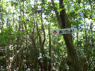 e0272335_16455644.jpg