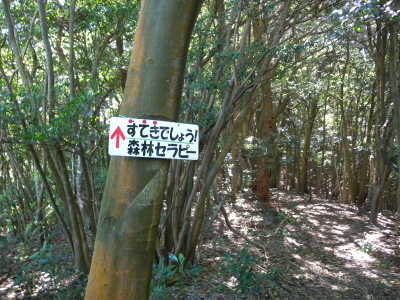 e0272335_17273156.jpg