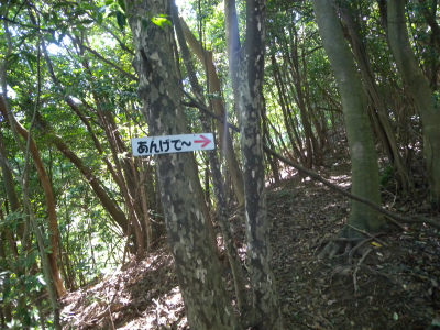 e0272335_17314220.jpg