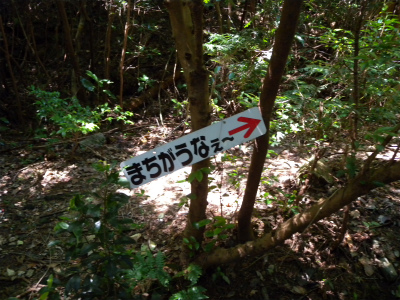 e0272335_17354345.jpg