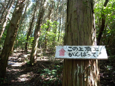e0272335_17401979.jpg