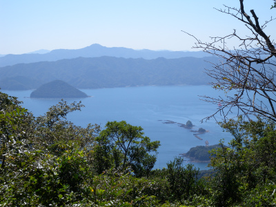 e0272335_1746517.jpg