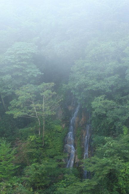 c0253439_1625495.jpg