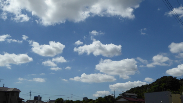 d0288144_16545495.jpg