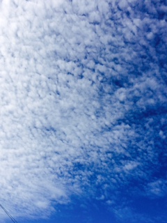 e0105846_1093883.jpg