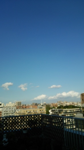 f0309148_16203954.jpg