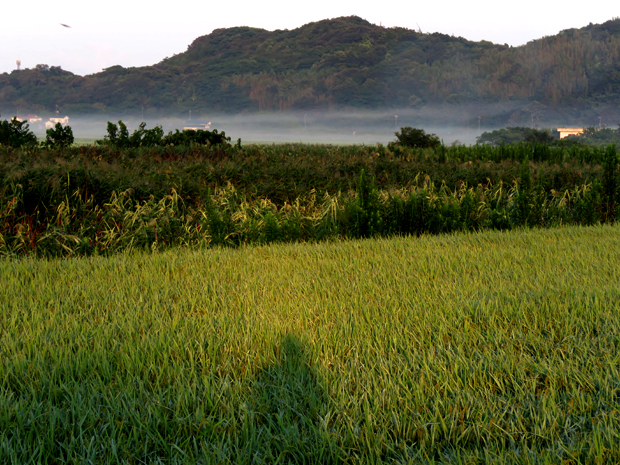 f0214649_1820259.jpg