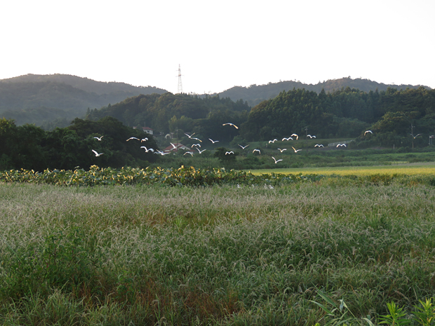 f0214649_18222540.jpg