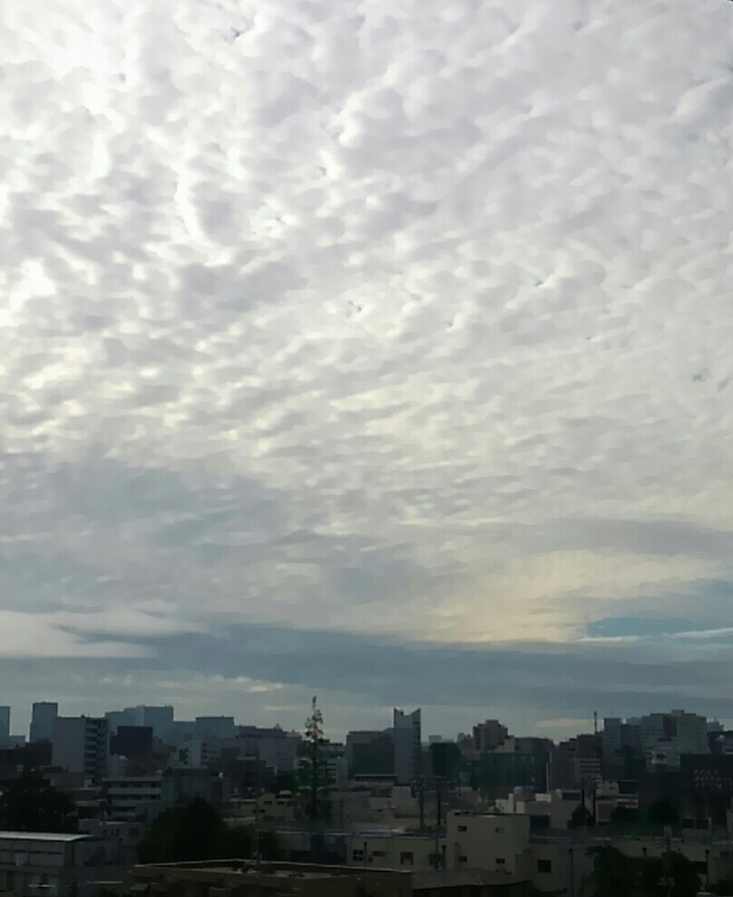 a0004752_07180532.jpg