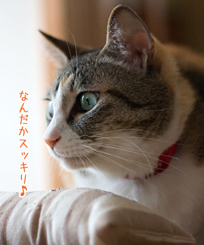 a0119470_0523878.jpg