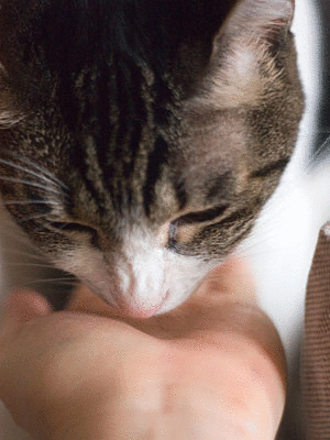 a0119470_054986.gif