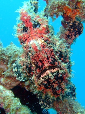 b0033573_21375781.jpg