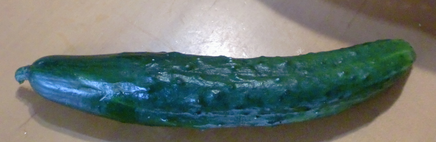 a0234877_1123153.jpg