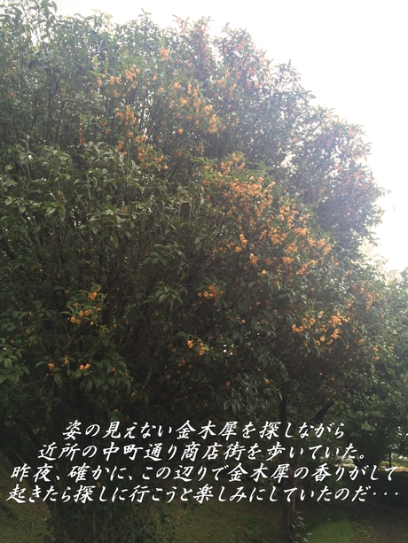 c0283778_1530766.jpg
