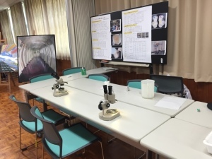 f0275885_16054796.jpg