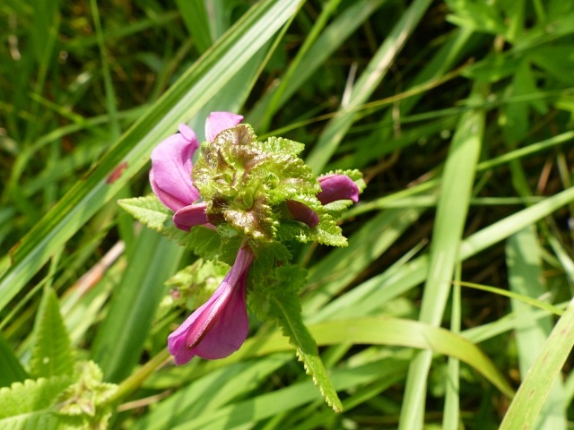 f0357487_23223360.jpg