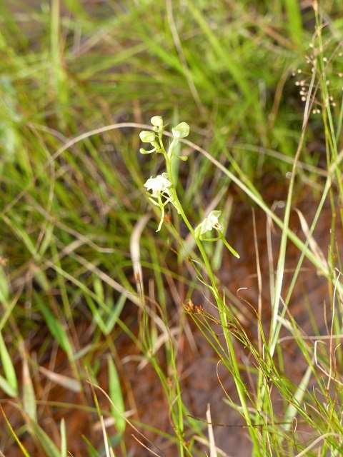 f0357487_2326524.jpg