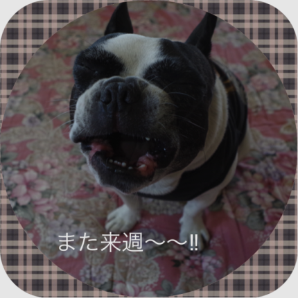 c0275289_14340079.png
