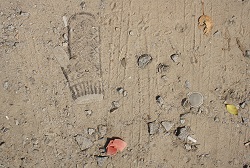 c0129991_11263551.jpg