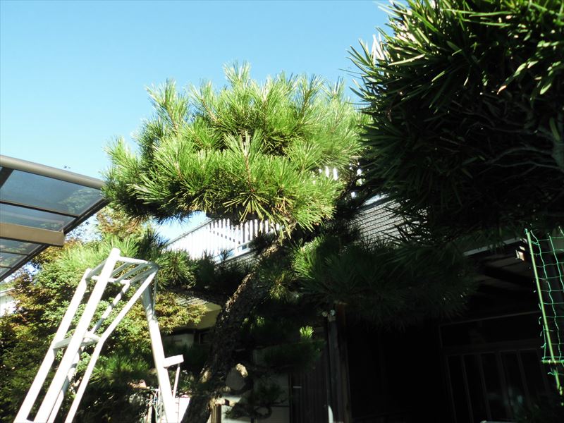 c0108198_17323117.jpg