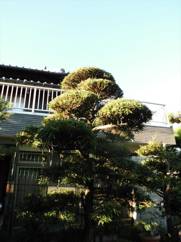 c0108198_17334759.jpg