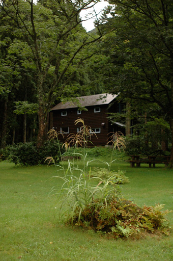 a0061599_7405538.jpg