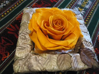 b0182709_14195590.jpg
